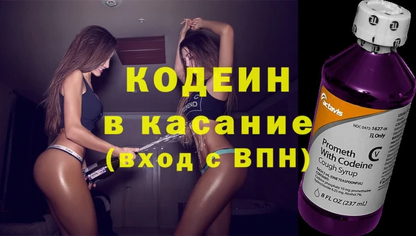 шишки Карпинск