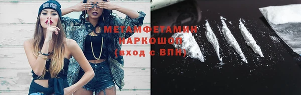 шишки Карпинск
