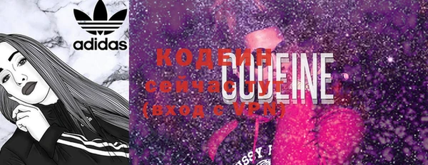 шишки Карпинск