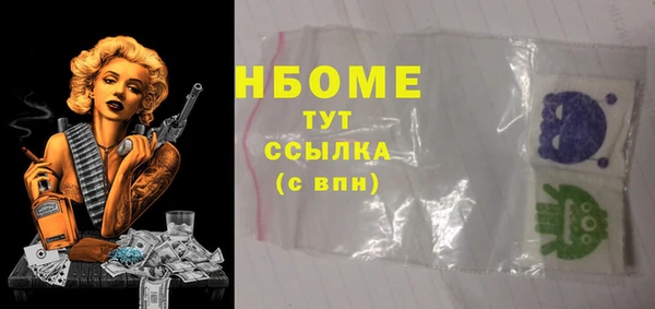 шишки Карпинск