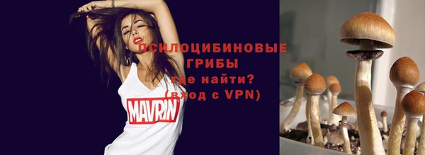 эйфоретик Кинешма