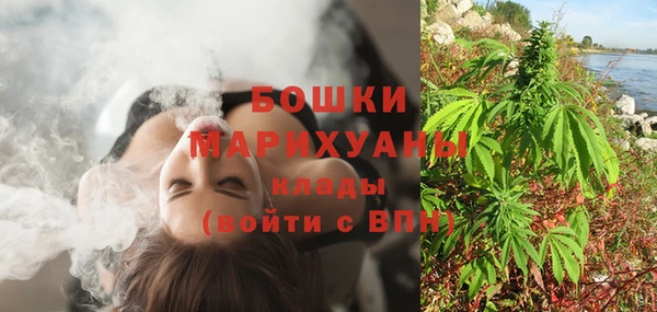 шишки Карпинск