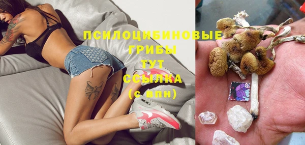 шишки Карпинск