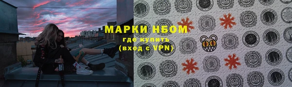 шишки Карпинск