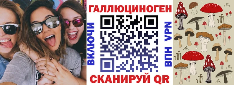 Галлюциногенные грибы прущие грибы  Купить  Елабуга 